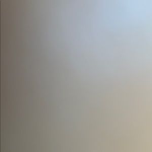 Meet your Posher, Reagan